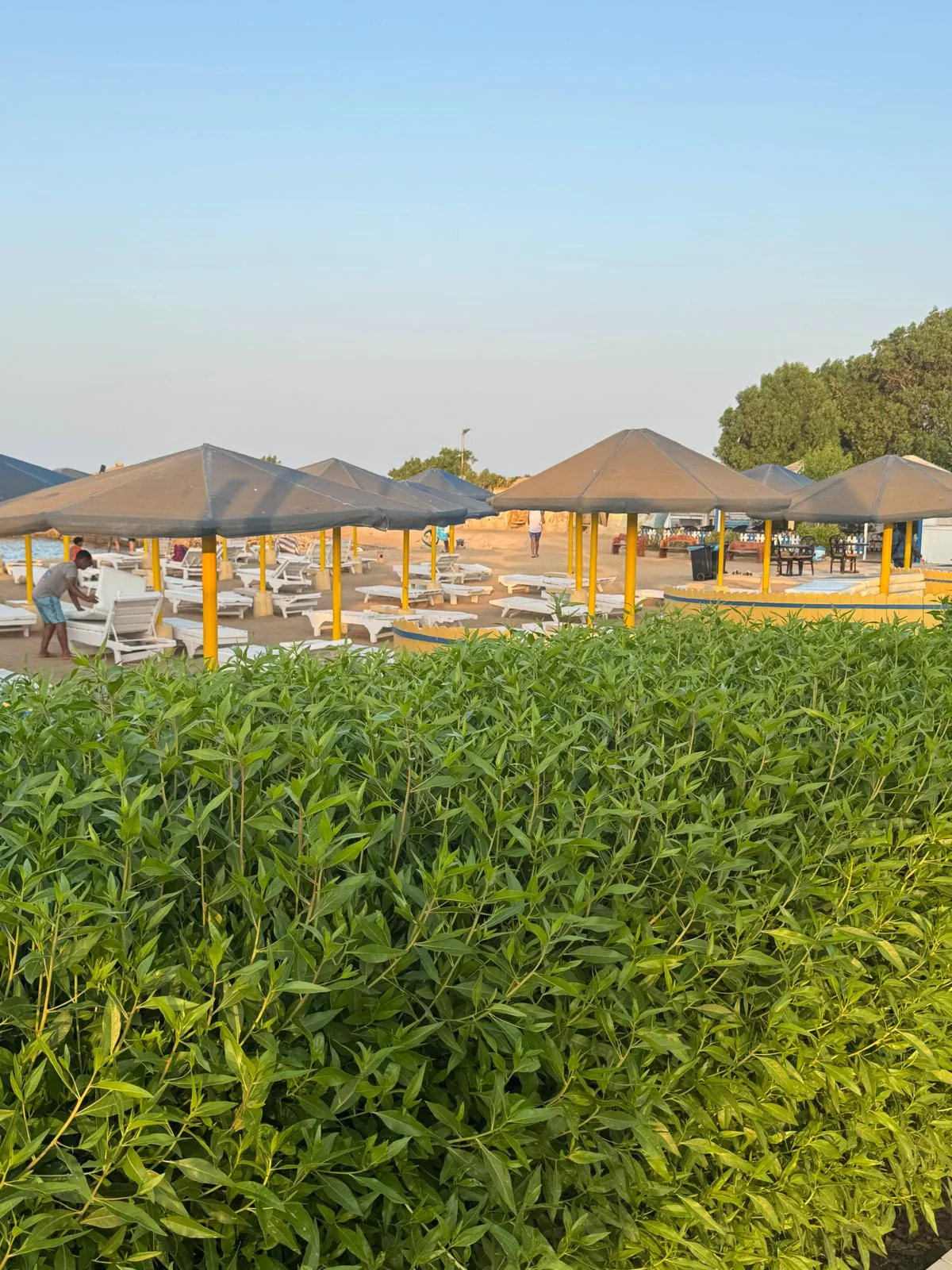 Family beach area at DaVinci Beach