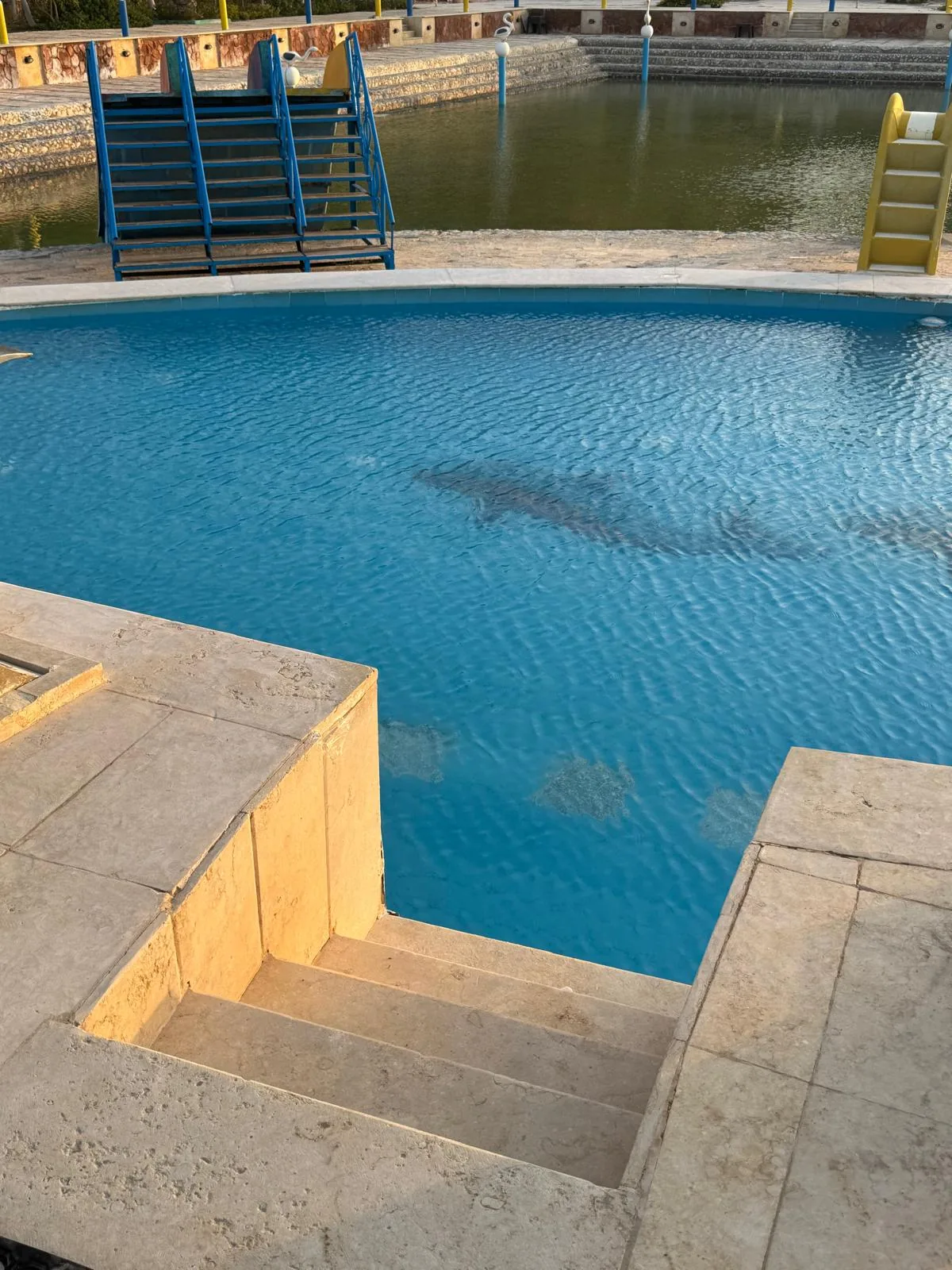Swimming pool at DaVinci Beach